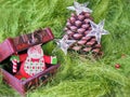 Christmas- pinecone decorated with stars and small wooden chest with funny Santa Claus inside on gr een fluffy background