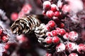 Christmas pinecones and holly berry