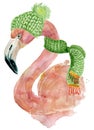 Christmas pink flamingo with winter decorations green hat and scarf