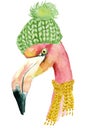 Christmas pink flamingo with winter decorations yellow hat and red scarf Royalty Free Stock Photo