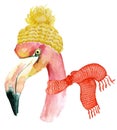 Christmas pink flamingo with winter decorations yellow hat and red scarf