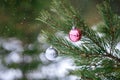 Christmas pink and silver balls on a Christmas tree branch over blurred background Royalty Free Stock Photo