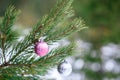 Christmas pink and silver balls on a Christmas tree branch over blurred background Royalty Free Stock Photo