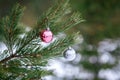 Christmas pink and silver balls on a Christmas tree branch over blurred background Royalty Free Stock Photo