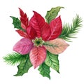 Christmas plant poinsettia watercolor gouache colorful pink green red for holiday party greetind card and poster