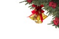 Christmas plants,gold bells isolated white background for greeting card Royalty Free Stock Photo