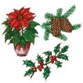 Christmas Plants Set