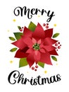 Merry Christmas. Euphorbia is the most beautiful or poinsettia. Vertical festive new year banner with white background.