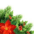 Christmas poinsettia flower realistic vector illustration Royalty Free Stock Photo