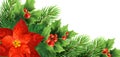 Christmas poinsettia flower realistic vector illustration Royalty Free Stock Photo