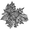 Christmas poinsettia flower with xmas omela. Vector hand drawn line art illustration decorative elements isolated on white backgro