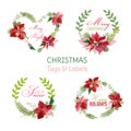 Christmas Poinsettia Flowers Banners and Tags - Winter Set Royalty Free Stock Photo