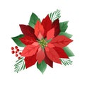 Christmas poinsettia flowers, red leaves. Cover, invitation, banner, greeting card. Vector illustration Royalty Free Stock Photo