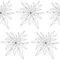 Christmas poinsettia flowers seamless pattern. Black outline seamless texture. Template. Royalty Free Stock Photo