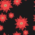 Christmas poinsettia seamless pattern on black background Royalty Free Stock Photo