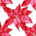 Christmas Poinsettia seamless pattern. Winter watercolor background. Hand painted Illustration Royalty Free Stock Photo