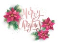 Christmas poinsettia vector design card