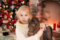 Christmas portrait of happy blonde child girl in white sweater siting on the floor near the Christmas tree and wooden toy horse. N Royalty Free Stock Photo