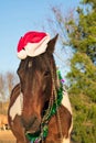 Christmas portrait of a horse