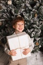 Christmas portrait of a young boy cozy atmosphere around the Christmas tree. Cute toddler holding white gift box Royalty Free Stock Photo