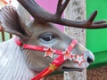 Cute elk figure at a portuguese christmas market in Loule Royalty Free Stock Photo