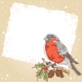 Christmas postcard with bullfinch bird