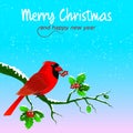 Christmas postcard with snowy sky. In the foreground a cardinal bird with berries in its beak over holly branches.