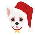 Christmas poster feaChristmas poster featuring a portrait of a dog wearing a Santa hat. Chihuahua. Isolated vector illustration