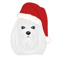 Christmas poster featurinChristmas poster featuring a portrait of a dog wearing a Santa hat. Maltese. Isolated vector illustration Royalty Free Stock Photo