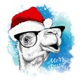 The christmas poster with the image camel portrait in Santa`s hat. Vector illustration.