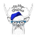 The christmas poster with the image deer portrait in Santa`s hat. Vector illustration.