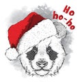 The christmas poster with the image panda portrait in Santa`s hat. Hand draw vector illustration.