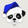 The christmas poster with the image panda portrait in Santa`s hat. Hand draw vector illustration.