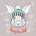 The christmas poster with the image rabbit portrait in winter hat. Vector illustration.