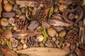 Christmas potpourri background. Traditional decoration of pinecones nuts and berries Royalty Free Stock Photo