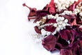 Christmas potpourri flowers on white background Royalty Free Stock Photo