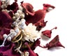 Christmas potpourri flowers on white background Royalty Free Stock Photo