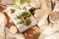 Christmas present decorated with branch in boho rustic style Royalty Free Stock Photo