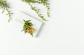 Christmas present decorated with evergreen twigs on white background. Flatlay. Copy space