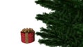 Christmas present with pine tree Royalty Free Stock Photo