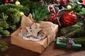 Christmas present in rustic style Royalty Free Stock Photo