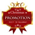 Christmas promotion icon