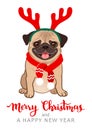 Christmas pug dog cartoon illustration. Cute friendly fat chubby