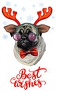 Christmas pug dog vector hand drawn illustration red Royalty Free Stock Photo