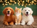 Christmas puppies and kittens Royalty Free Stock Photo