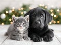 Christmas puppies and kittens Royalty Free Stock Photo