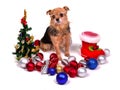 Christmas puppy with colorful decorations Royalty Free Stock Photo