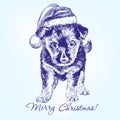 Christmas puppy in Santa stocking hat hand drawn Royalty Free Stock Photo