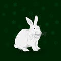Christmas rabbit Royalty Free Stock Photo
