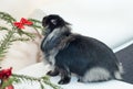 Christmas rabbit